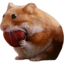 nomnom